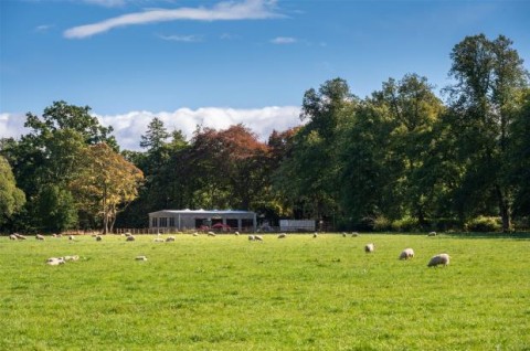 Click the photo for more details of Blair Moss Plot, Blair Moss Plot, Boquhan, Stirling, Stirlingshire