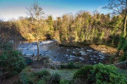 Images for River Lodge, Almondbank, Perth, Perth and Kinross