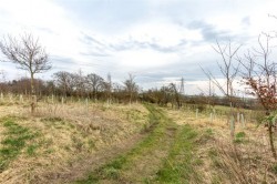 Images for Greycraig Cottage, Kirtlebridge, Lockerbie, Dumfries and Galloway