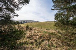 Images for Douglas Lodge, Douglas Lodge, 88 Carlisle Road, Crawford, South Lanarkshire