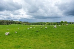 Images for Milldeans Farm, Milldeans, Star, Fife