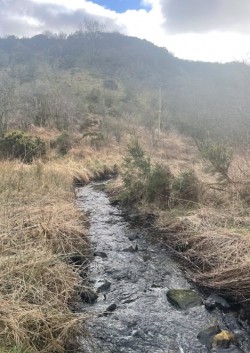 Images for Dunfermline, Fife