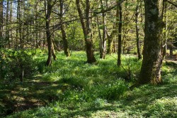 Images for Glenbarr, Tarbert, Argyll