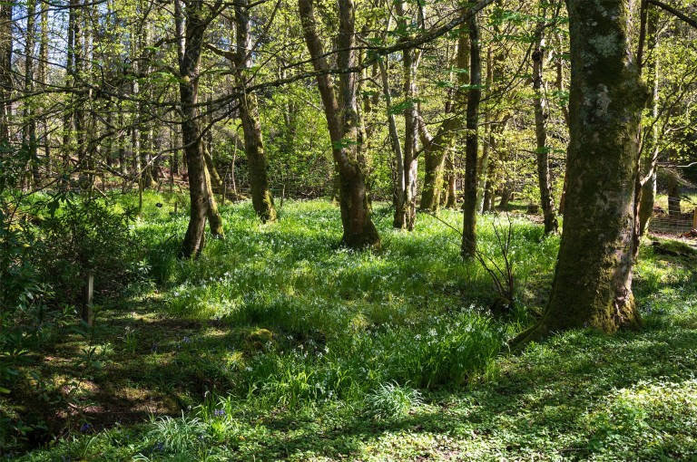 Images for Glenbarr, Tarbert, Argyll