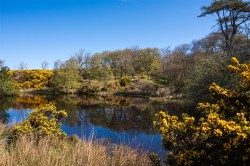 Images for Glenbarr, Tarbert, Argyll