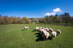 Images for Glenbarr, Tarbert, Argyll