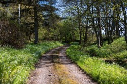 Images for Glenbarr, Tarbert, Argyll