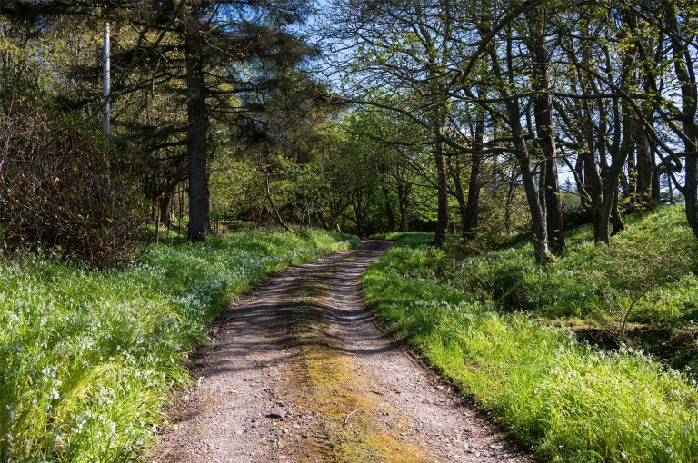 Images for Glenbarr, Tarbert, Argyll