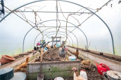 Images for Jackstone Steadings, 4 Jackstone Steadings, Bankfoot, Perth