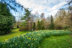 Images for By Bannockburn, Stirling