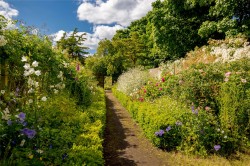 Images for Inveresk Village, 19 Inveresk Village, Musselburgh, East Lothian
