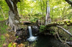 Images for Biggar, South Lanarkshire