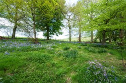Images for Penicuik, Midlothian