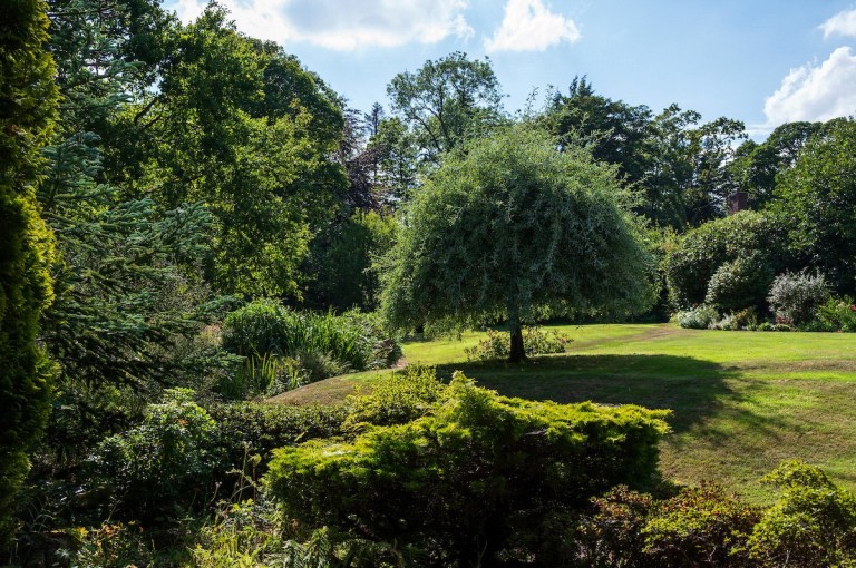 Images for Gifford, Haddington, East Lothian