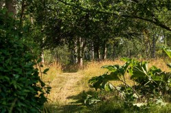 Images for Gifford, Haddington, East Lothian