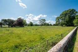 Images for Dunbar, East Lothian