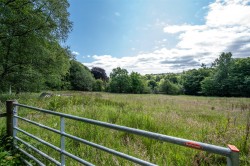 Images for Polton Road, 64 Polton Road, Loanhead, Midlothian