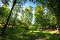 Images for Callander, Stirlingshire