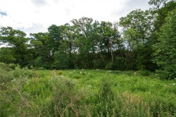 Images for The Oaks, Moneydie, Luncarty