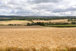 Images for Garvald Grange Cottages, 3 Garvald Grange Cottages, Garvald, East Lothian