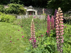 Images for Dunfermline, Fife