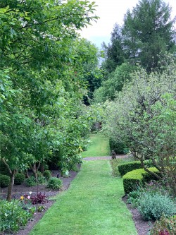 Images for Dunfermline, Fife