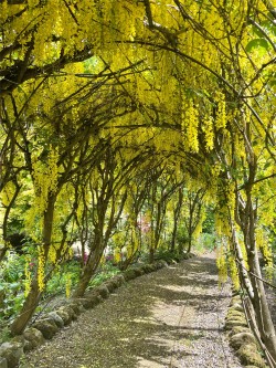 Images for Dunfermline, Fife