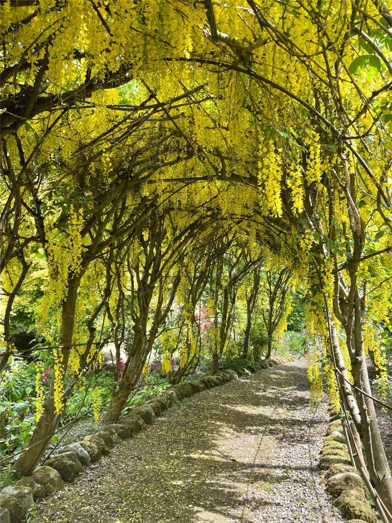 Images for Dunfermline, Fife