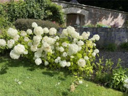 Images for Dunfermline, Fife