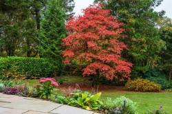 Images for Medwyn Road, West Linton, Peeblesshire