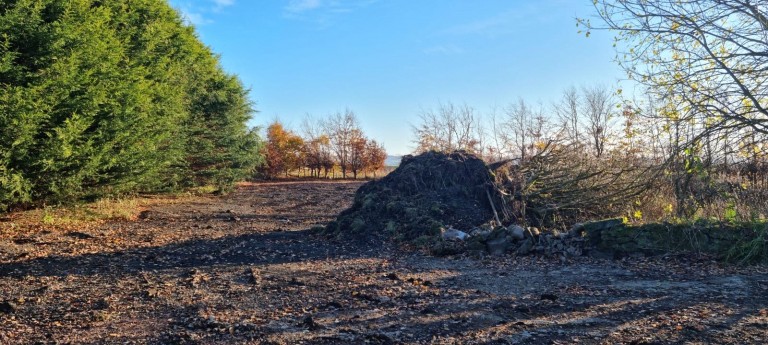 Images for Perth, Perth and Kinross