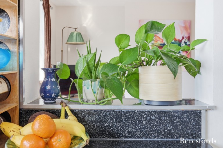 Images for Shenfield, Brentwood, Essex