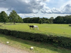 Images for Berkhamsted, Hertfordshire