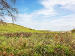 Images for East Of Lindores, Cupar, Fife