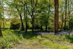 Images for Cupar, Fife