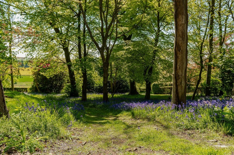 Images for Cupar, Fife