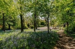 Images for Cupar, Fife