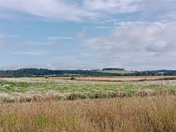 Images for Barnyards, Kilconquhar, Leven