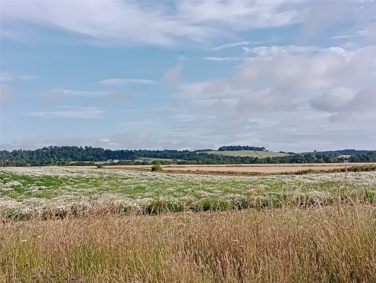 Images for Barnyards, Kilconquhar, Leven