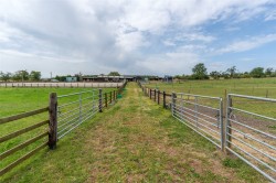 Images for The Bungalow, Baldastard, Leven