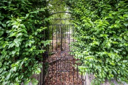 Images for St. Andrews, Fife