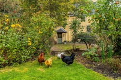 Images for Dysart, Kirkcaldy, Fife