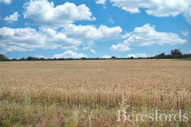 Images for Writtle, Chelmsford, Essex