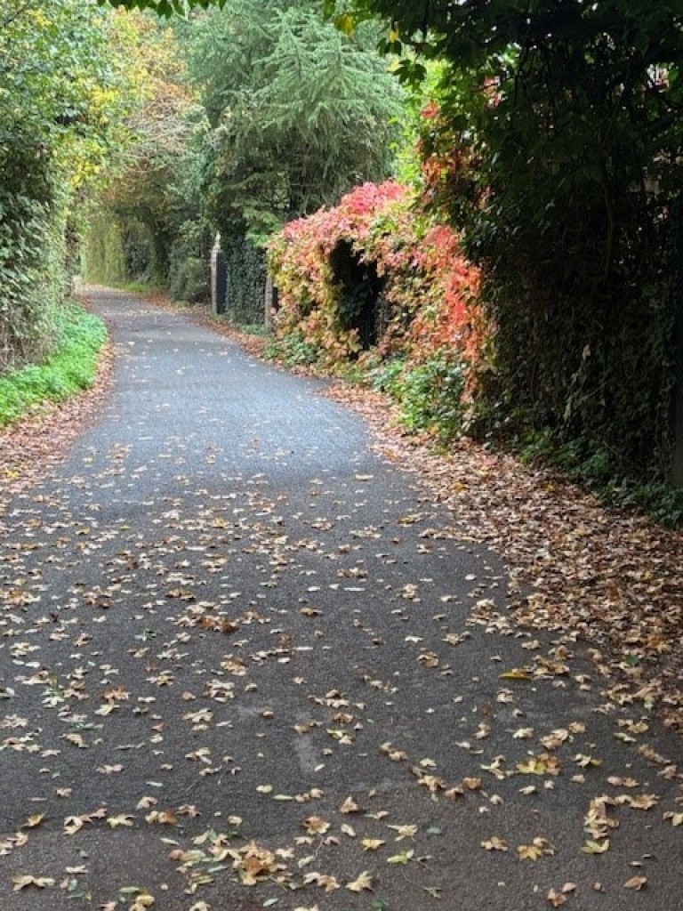 Images for Writtle, Essex