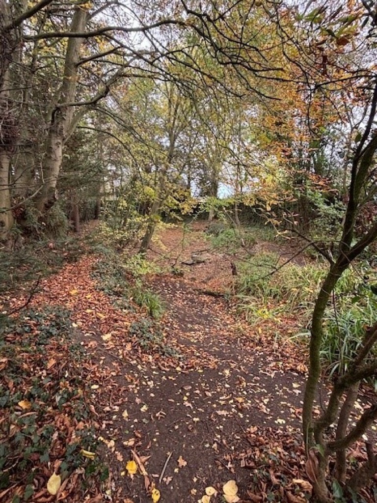 Images for Writtle, Essex