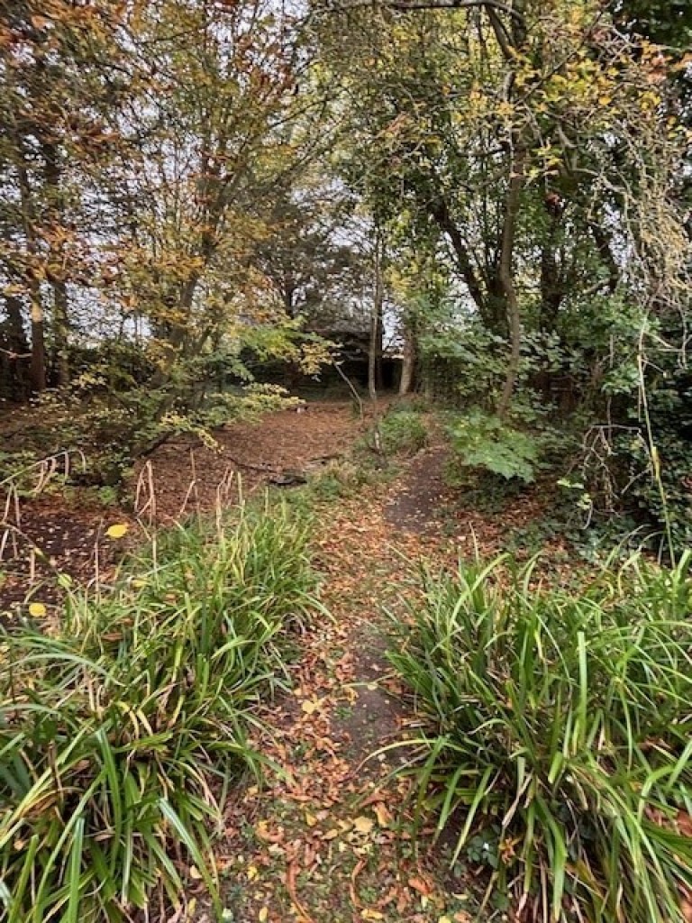 Images for Writtle, Essex