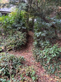 Images for Writtle, Essex