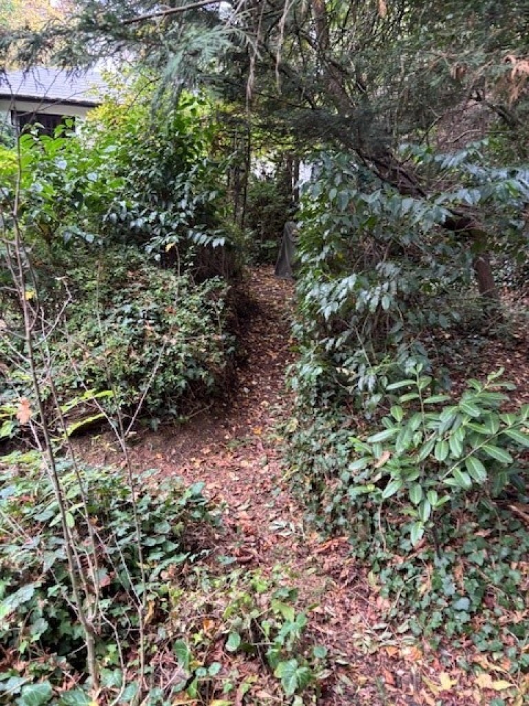 Images for Writtle, Essex