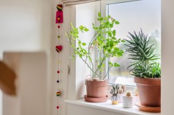 Images for Quinton Fields, Emsworth, PO10