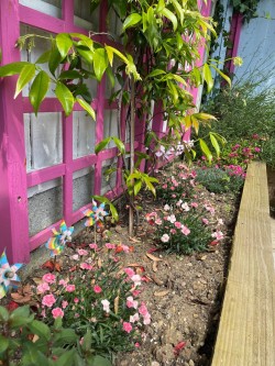 Images for Kings Road, Brentwood, Essex, CM14